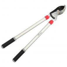 Darza škeres - laktveida, parnesums (80A030)