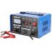 Rectifier 6/12V 12-100Ah DEP010 (DEP010)