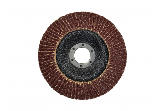 Диск лепестковый 125мм P36 GEKO 10шт (G00306)