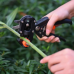 Garden grafting tools kit (G71999)