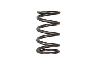 Generator spring ST3500ig ST4000E (SP168-75)
