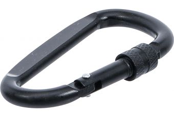 Карабин | D-образный | с винтом и замком (85795)