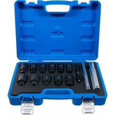 Набор инструментов для демонтажа ободного замка | 14 шт. (74448)