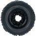 Replacement Sanding Pad | for BGS 74449 | 50 x 12 mm (74450-1)