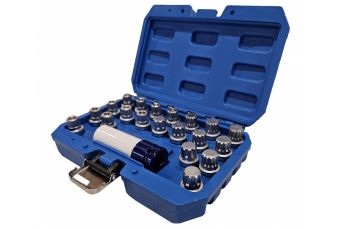 Ключи для снятия гаек колес 21 шт. ; BMW (H4007)