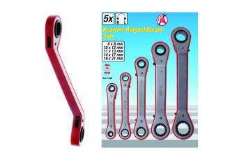 Набор трещотки, офсет, реверсивный 6 x 8 - 19 x 21мм, 5 шт.. (1448)