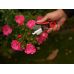 Tool for trimming flowers with rose thorn removal function | 13 cm (YT-87850)