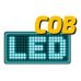 Pārnēsājama prožektora laterna 5 W COB (YT-81819)