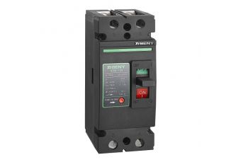 DC Circuit Breaker - 2P, 125A, 500VDC (NV822621)