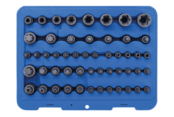 Bit Socket and Socket Set | E-Type / T-Star (for Torx) / T-Star tamperproof (for Torx) / TP-Star (for Torx Plus) | 52 pcs. (9839)