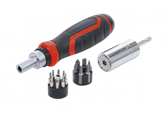 Набор прецизионных бит / нескольких головок | с ручкой-вращателем с трещоткой, двусторонний | 17 шт. (20817)