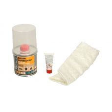 Набор для ремонта Troton 250 г + стекломат (6147 TRO)