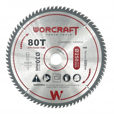 Disks TS-2000/MST20-255, 30x250mm 80T (WPI19250TS80)