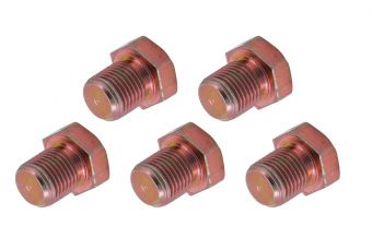 Пробки для слива масла | для BGS 123 | М13 х 1,25 | 5 шт. (123-SM13)