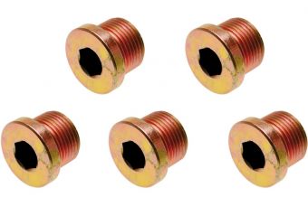 Eļļas iztukšošanas skrūves | no BGS 126 | M17 x 1,5 mm | 5 gab. (126-SM17)