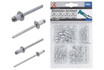 Заклепки Ассортимент | Ø 2,4 - 4,8 мм | 100 шт. (75846)