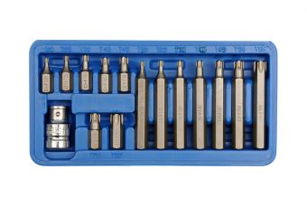 Набор спецальных бит"ТОРХ" в пластиковом боксе-15шт (66580)