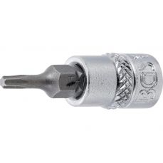 Ieliktnis ar uzgali | 6,3 mm (1/4 collas) piedziņa | T-Star (Torx) T9 (2588)