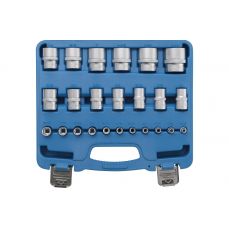 Комплект головок, шестигранник | 6,3 мм (1/4") + 12,5 мм (1/2") приводы | Дюймовые размеры | 23 шт. (2246)