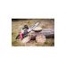 40V Lithium-Ion Battery Chainsaw (20V+20V) (CGCS40LI)