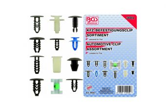 Ассортимент автомобильных клипов для Fiat | 308 шт. (9052)