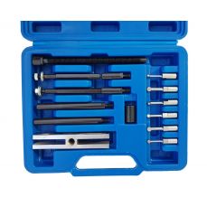 Broken Bearing Puller 10 pcs. (SK2844)