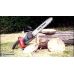 40V Lithium-Ion Battery Chainsaw (20V+20V) (CGCS40LI)