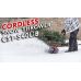 Li-ion Cordless Snow thrower WORCRAFT 40V (20V+20V) (without battery and charger) (CSTS40LiBS)